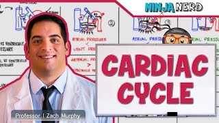 Cardiovascular  Cardiac Cycle [upl. by Nillok823]