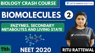 Biomolecules  Enzymes Secondary Metabolites and Living State  Part 2  NEET 2020 [upl. by Otte378]