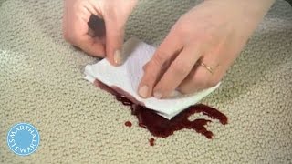 How to Remove Any Carpet Stain  Martha Stewart [upl. by Luapnoj]