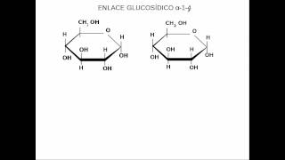 glucidos estructura [upl. by Holbrook]