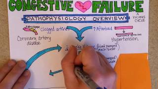 Congestive Heart Failure Pathophysiology [upl. by Oicneconi]