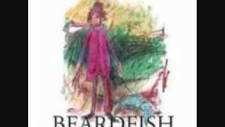 Beardfish Without You [upl. by Johppa]