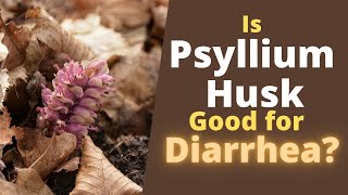 Psyllium Husk for Diarrhea  Does it Help or Cause Diarrhea [upl. by Kinemod]