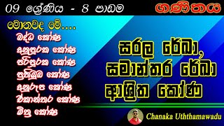 maths  Grade 9  8 th lesson  සරල රේඛාසමාන්තර රේඛා ආශ්‍රිත කෝණ [upl. by Nuavahs26]